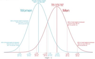 ¿Qué factores determinan nuestra estatura? ¡El estudio completo!