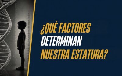 ¿Qué factores determinan nuestra estatura? ¡El estudio completo!